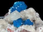Vibrant Blue Cavansite Clusters on Stilbite - India #62885-2